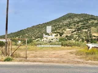 Οικόπεδο 7.818 τ.μ. για ενοικίαση