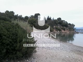Κτίριο 200 τ.μ. για πώληση, Αργολίδα, Κρανίδι-thumb-13