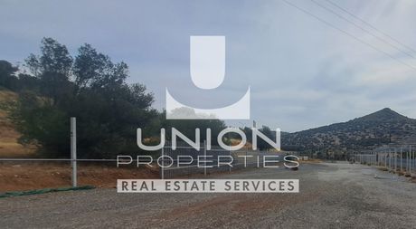 Οικόπεδο 2.300 τ.μ. πρός πώληση