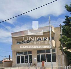 Office 170 sqm for rent