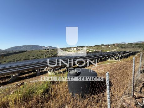 Οικόπεδο 8.135 τ.μ. πρός πώληση