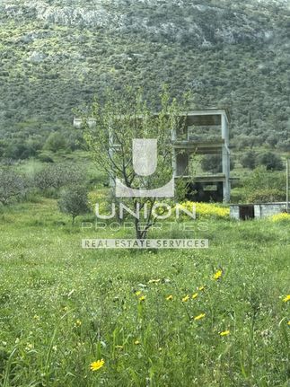 Detached home 270 sqm for sale, Rest Of Attica, Markopoulo