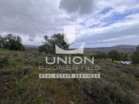 Οικόπεδο 6.809,65 τ.μ. πρός πώληση