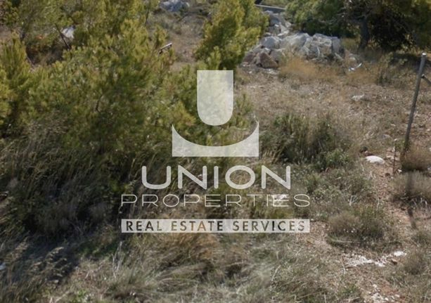 Land plot 1.000 sqm for sale, Rest Of Attica, Pikermi