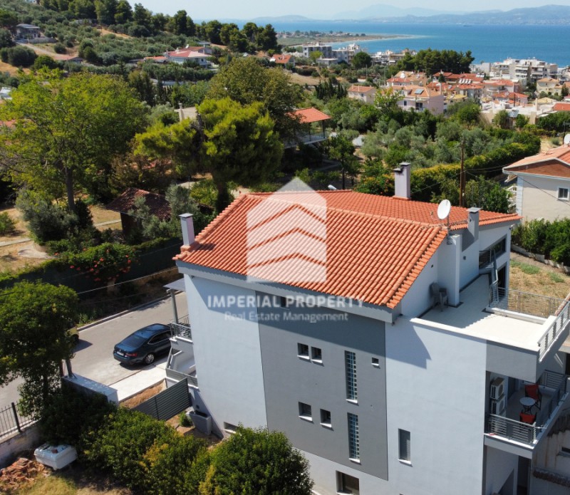 Μονοκατοικία 560 τ.μ. προς πώληση, Σκάλα Ωρωπού