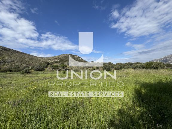 Parcel 4.129 sqm for sale, Rest Of Attica, Palaia Fokaia
