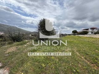 Αγροτεμάχια 1.402 τ.μ. προς πώληση
