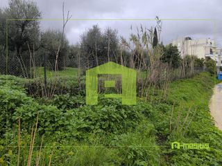 Οικόπεδο 2.045 τ.μ. για πώληση