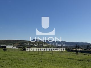 Αγροτεμάχια 5.899 τ.μ. για πώληση