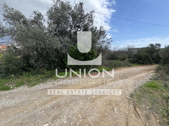 Land plot 985 sqm for sale, Rest Of Attica, Kalivia Thorikou