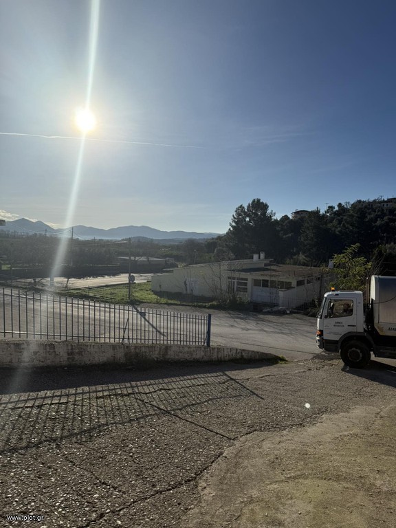 Επιχειρηματικό κτίριο 318 τ.μ. πρός πώληση, Θεσπρωτία, Σαγιάδα