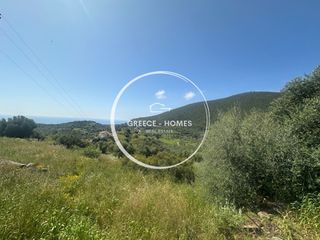 Οικόπεδο 1.973 τ.μ. προς πώληση, Βασιλίτσι-thumb-8