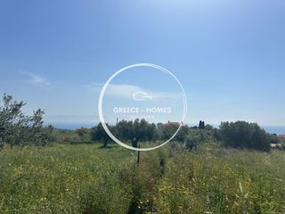 Οικόπεδο 1.973 τ.μ. προς πώληση, Βασιλίτσι-thumb-6