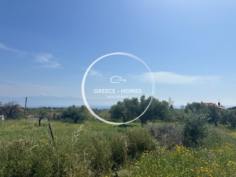 Οικόπεδο 1.973 τ.μ. προς πώληση, Βασιλίτσι