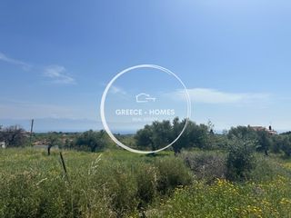 Οικόπεδο 1.973 τ.μ. προς πώληση, Βασιλίτσι-thumb-2