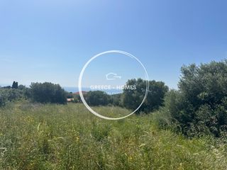 Οικόπεδο 1.973 τ.μ. προς πώληση, Βασιλίτσι-thumb-4