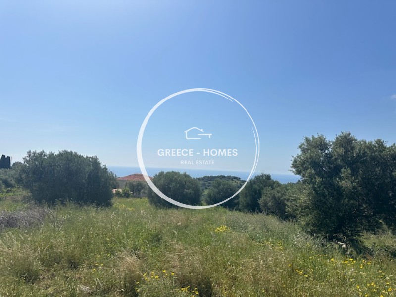 Οικόπεδο 1.973 τ.μ. προς πώληση, Βασιλίτσι