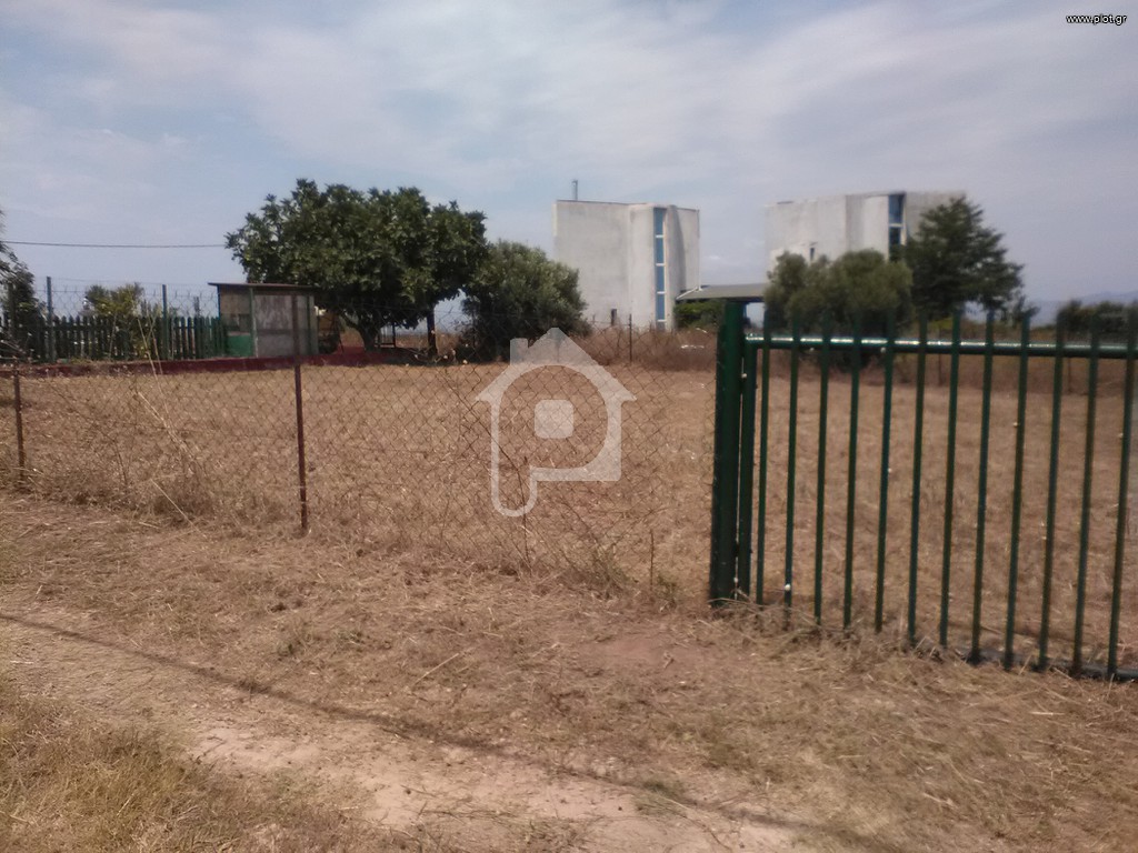 Οικόπεδο 400 τ.μ. προς πώληση, Νέα Ποτίδαια