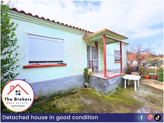 Μονοκατοικία 104 τ.μ. πρός πώληση, Ν. Ροδόπης, Σάπες-thumb-11