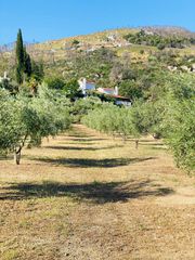 Βίλλα 334 τ.μ. για πώληση, Αττική - Υπόλοιπο, Αφίδνες-thumb-6