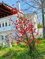 Βίλλα 334 τ.μ. για πώληση, Αττική - Υπόλοιπο, Αφίδνες-thumb-10