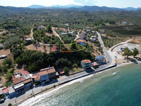 Land plot 1.067 sqm for sale