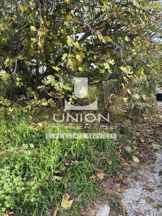 Land plot 811 sqm for sale, Athens - North, Melissia