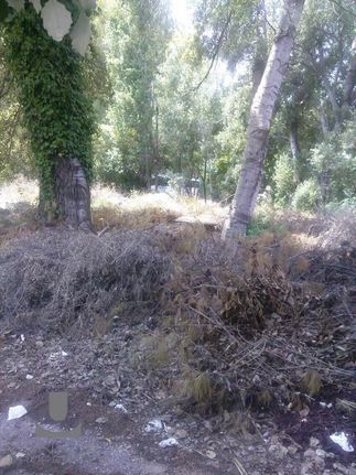 Business bulding 500 sqm for rent, Athens - North, Kifisia