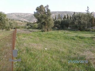 Αγροτεμάχια 4.130 τ.μ. προς πώληση