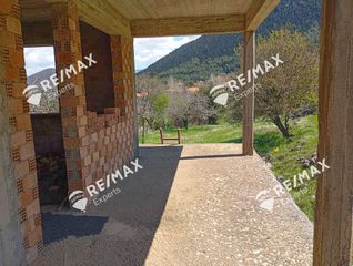 Μονοκατοικία 197,22 τ.μ. για πώληση, Αρκαδία, Λεβίδι-thumb-9
