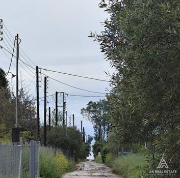 Αγροτεμάχια 4.500 τ.μ. πρός πώληση