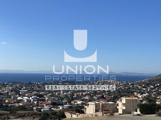 Αγροτεμάχια 46.440 τ.μ. προς πώληση