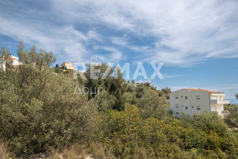 Οικόπεδο 649 τ.μ. πρός πώληση, Μαγνησία, Βόλος