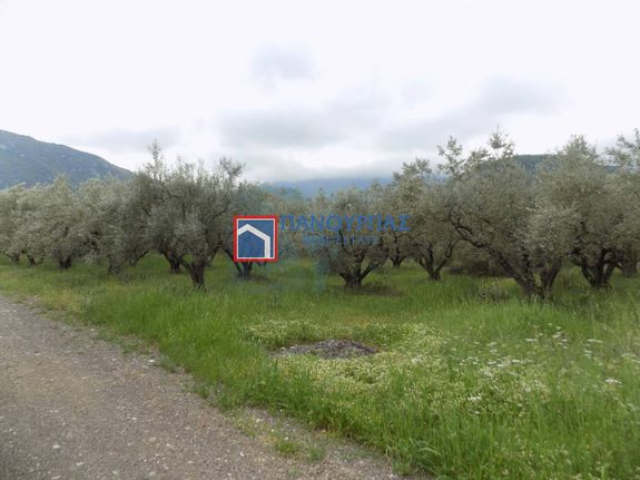 Αγροτεμάχια 9.582 τ.μ. για πώληση, Φθιώτιδας, Γοργοπόταμος