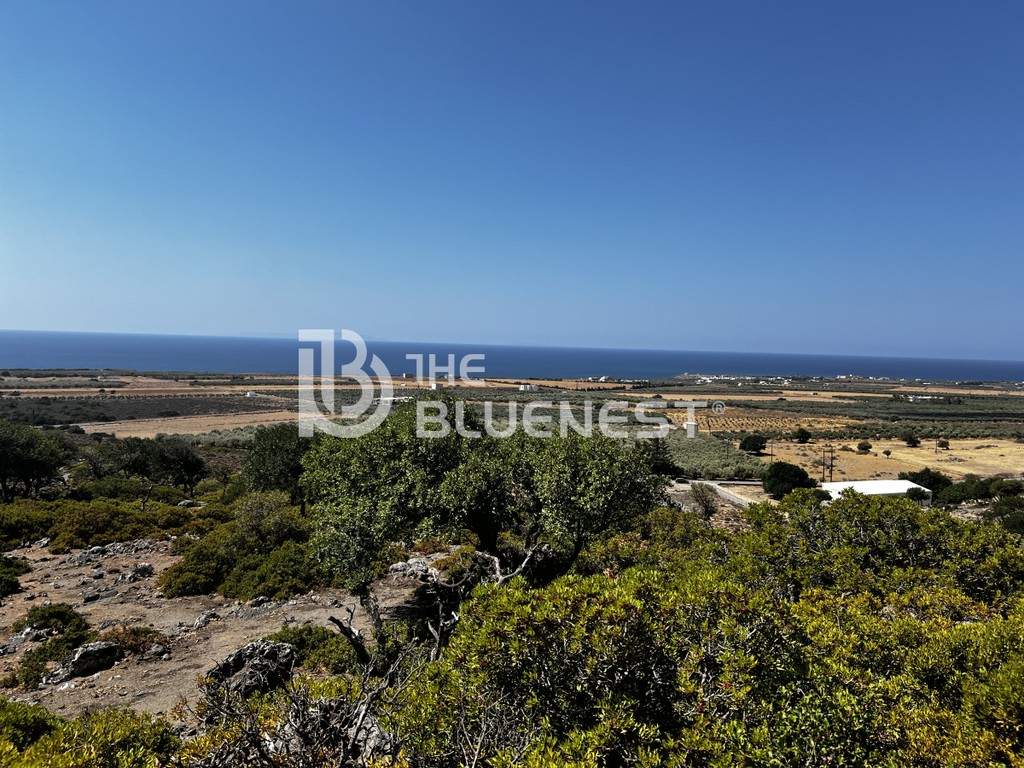 Αγροτεμάχια 10.000 τ.μ. προς πώληση, Σκαλωτή Σφακίων