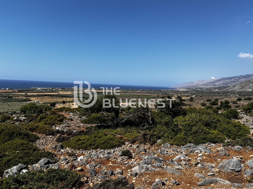 Αγροτεμάχια 10.000 τ.μ. προς πώληση, Σκαλωτή Σφακίων