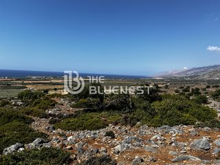 Αγροτεμάχια 10.000 τ.μ. για πώληση