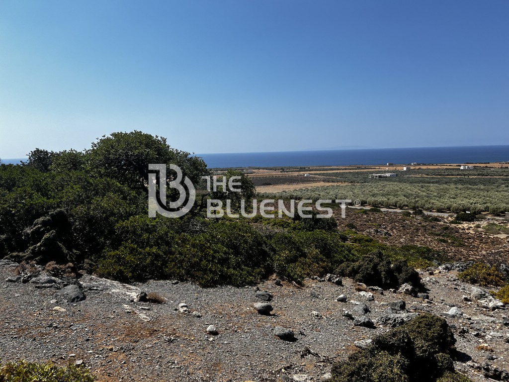 Αγροτεμάχια 10.000 τ.μ. προς πώληση, Σκαλωτή Σφακίων