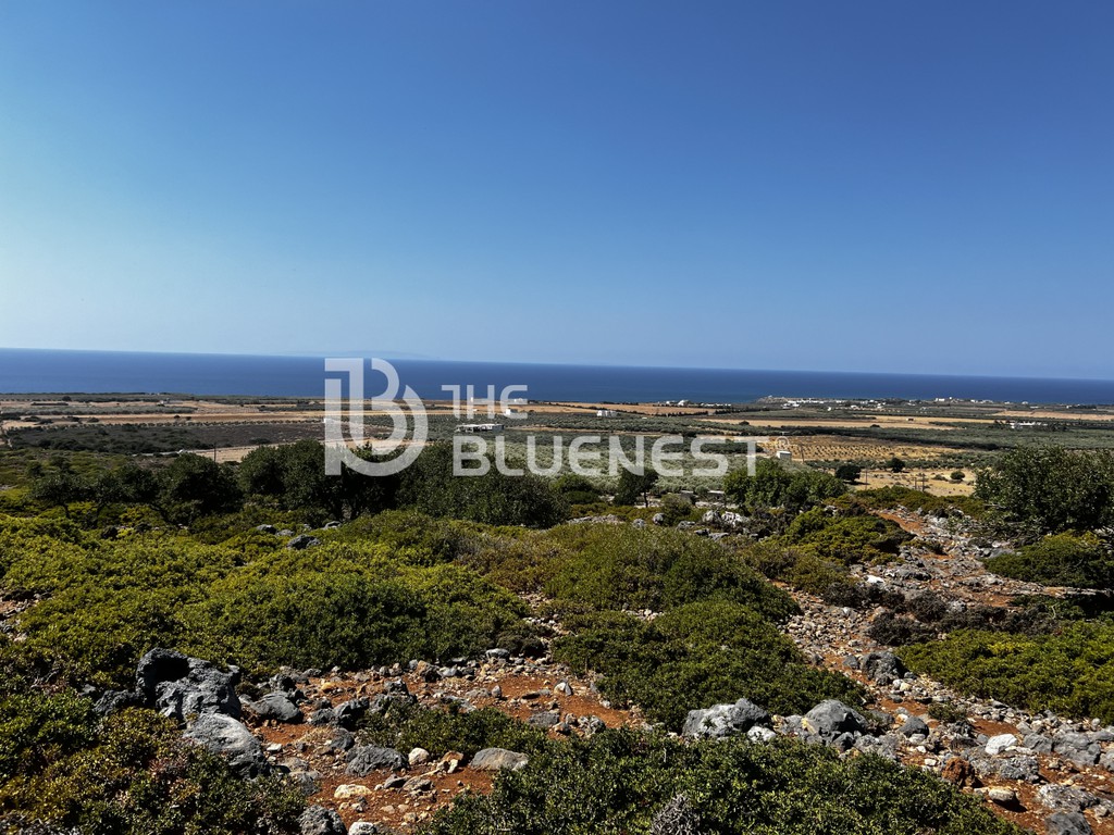 Αγροτεμάχια 10.000 τ.μ. προς πώληση, Σκαλωτή Σφακίων
