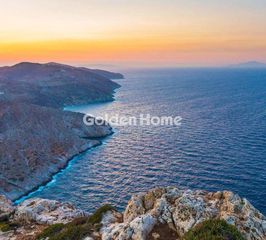 Αγροτεμάχια 6.010 τ.μ. για πώληση