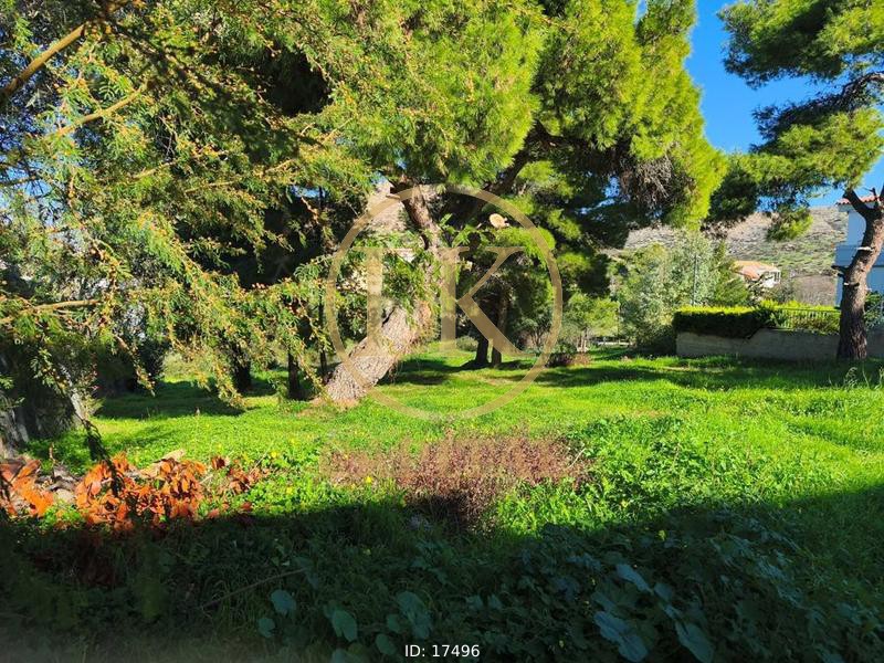 Οικόπεδο 812 τ.μ. προς πώληση, Συντερίνα