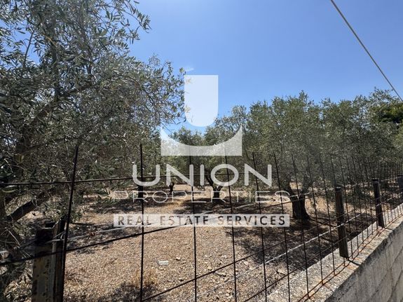 Land plot 856,32 sqm for sale, Athens - East, Koropi