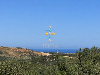 Αγροτεμάχια 2.350 τ.μ. για πώληση