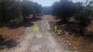 Οικόπεδο 1.500 τ.μ. για ενοικίαση, Αχαΐα, Πάτρα-thumb-19