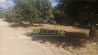 Οικόπεδο 1.500 τ.μ. για ενοικίαση, Αχαΐα, Πάτρα-thumb-24