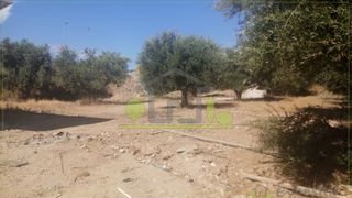 Οικόπεδο 1.500 τ.μ. για ενοικίαση, Αχαΐα, Πάτρα-thumb-21