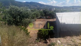 Οικόπεδο 1.500 τ.μ. για ενοικίαση, Αχαΐα, Πάτρα-thumb-16