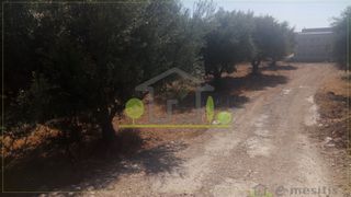 Οικόπεδο 1.500 τ.μ. για ενοικίαση, Αχαΐα, Πάτρα-thumb-20