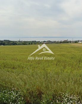 Αγροτεμάχια 8.000 τ.μ. πρός πώληση