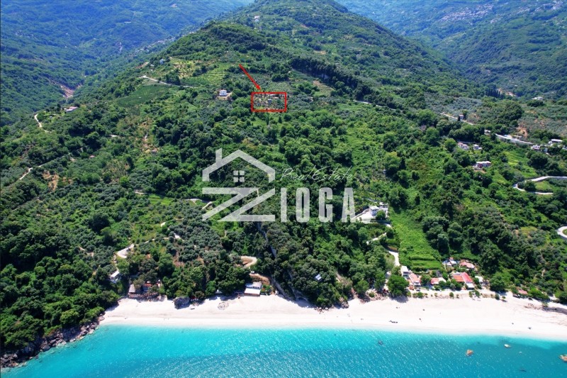 Συγκρότημα διαμερισμάτων 173 τ.μ. πρός πώληση, Μαγνησία, Ζαγορά